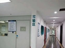 浙江省怀孕亲子鉴定具体的流程专业咨询
