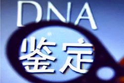 浙江省迁户亲子鉴定结果需要多久，浙江省户籍亲子鉴定如何办理