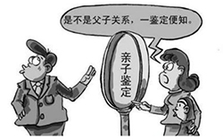 浙江省哪些医院可以做亲子鉴定，浙江省医院做亲子鉴定办理流程