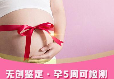 浙江省怀孕5个月需要怎么办理亲子鉴定,浙江省产前亲子鉴定大概价格 浙江省怀孕5个月需要怎么办理亲子鉴定,浙江省产前亲子鉴定大概价格
