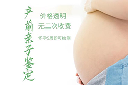 浙江省怀孕18周可以做孕期亲子鉴定吗，浙江省做产前亲子鉴定大概多少钱