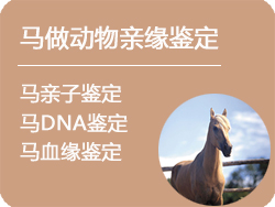 浙江省马做动物亲缘鉴定