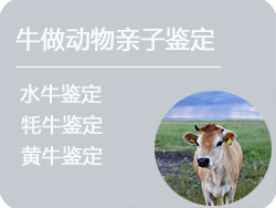 浙江省牛做动物亲子鉴定