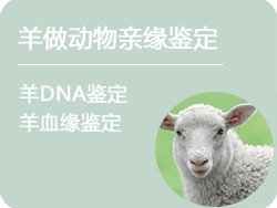 浙江省羊做动物亲缘鉴定