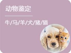浙江省动物鉴定